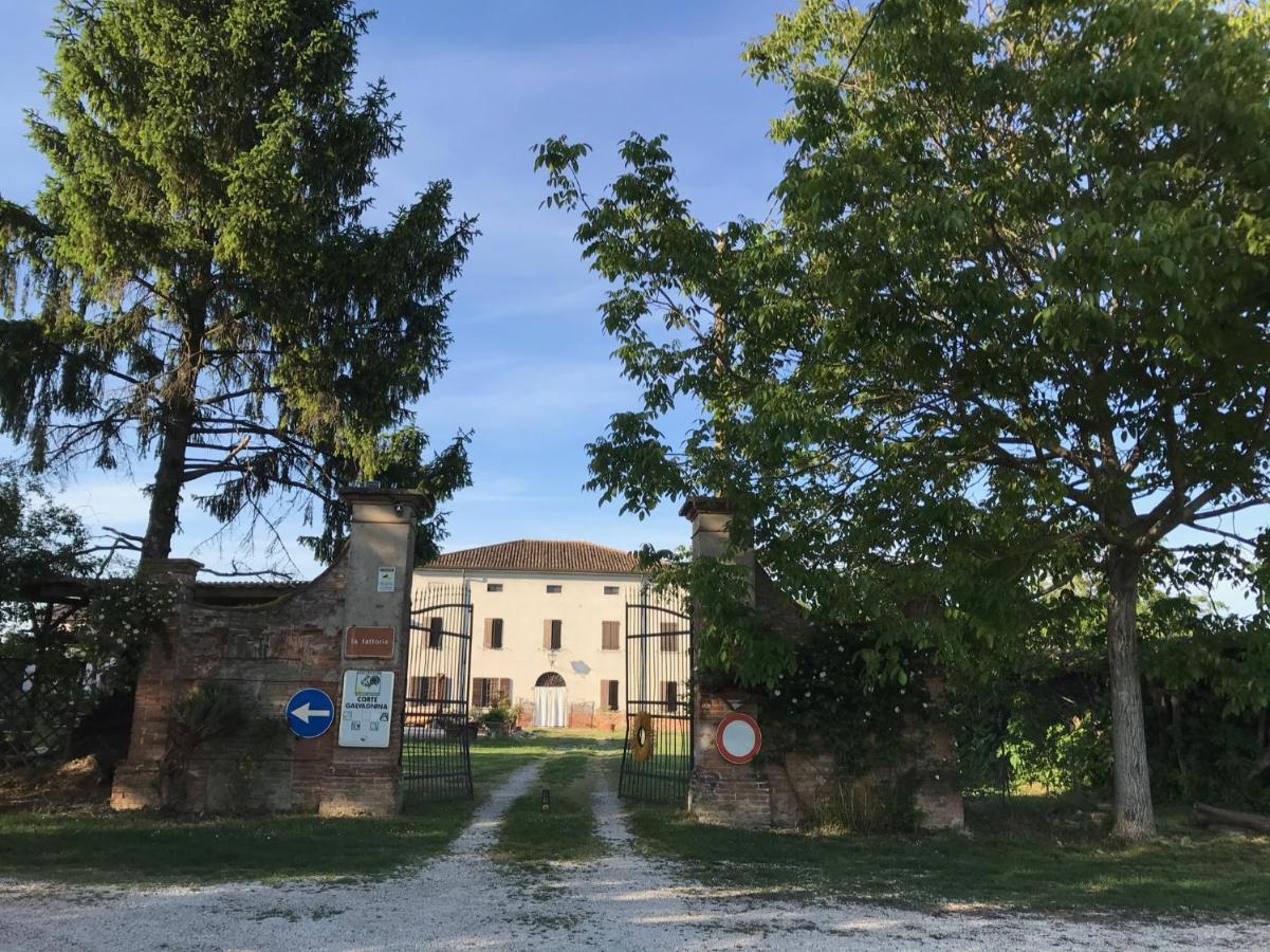 Agriturismo Corte Galvagnina Cesole Zewnętrze zdjęcie